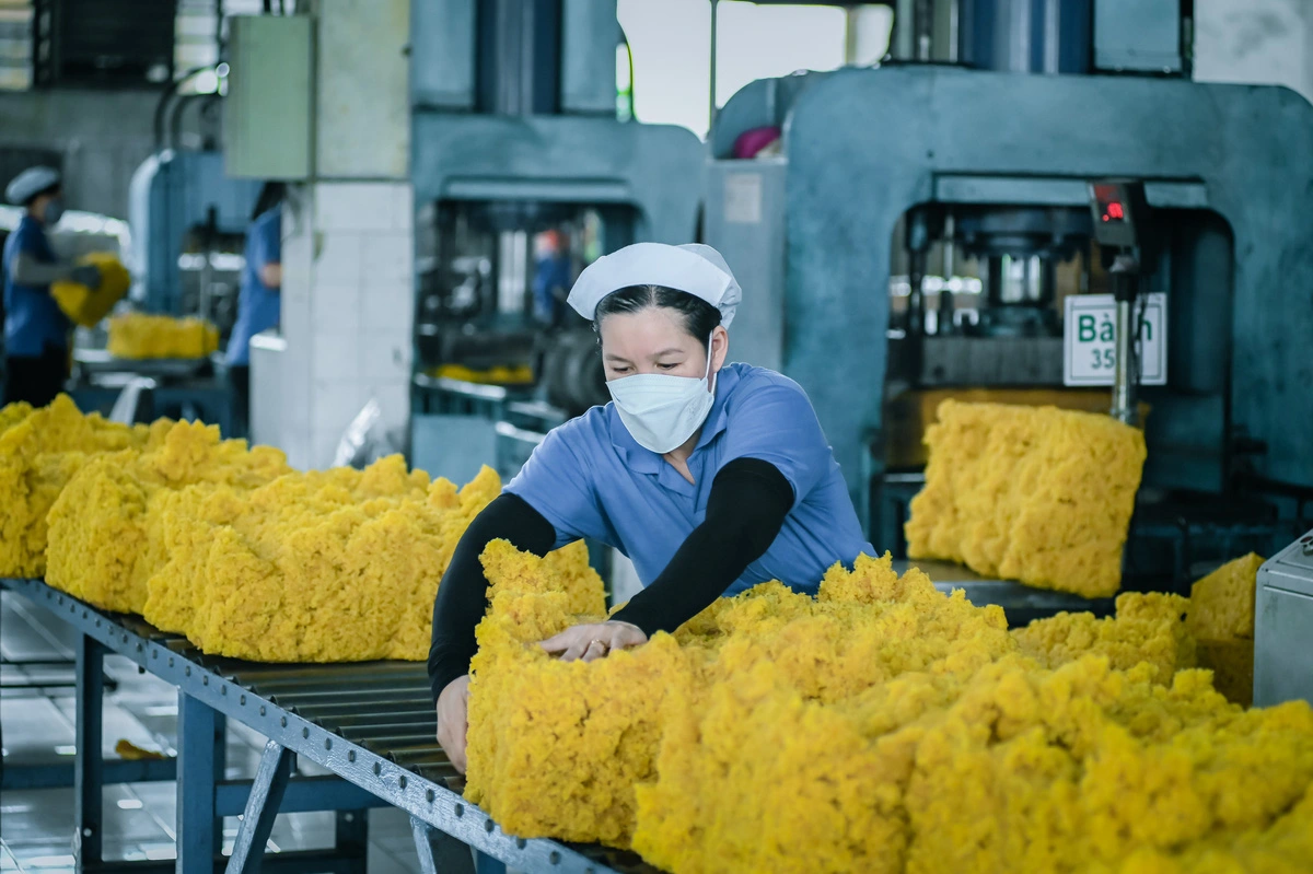 Phát triển bền vững trên những giá trị xanh ngày 28/8/2024